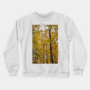 Forest in Golden leaf Crewneck Sweatshirt